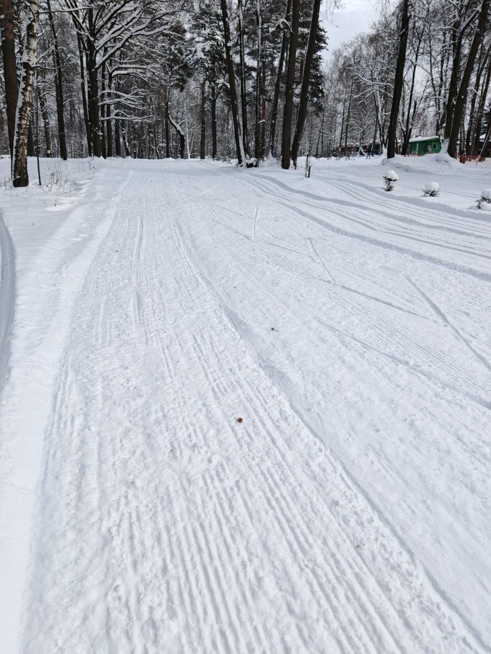 Фото трассы #17