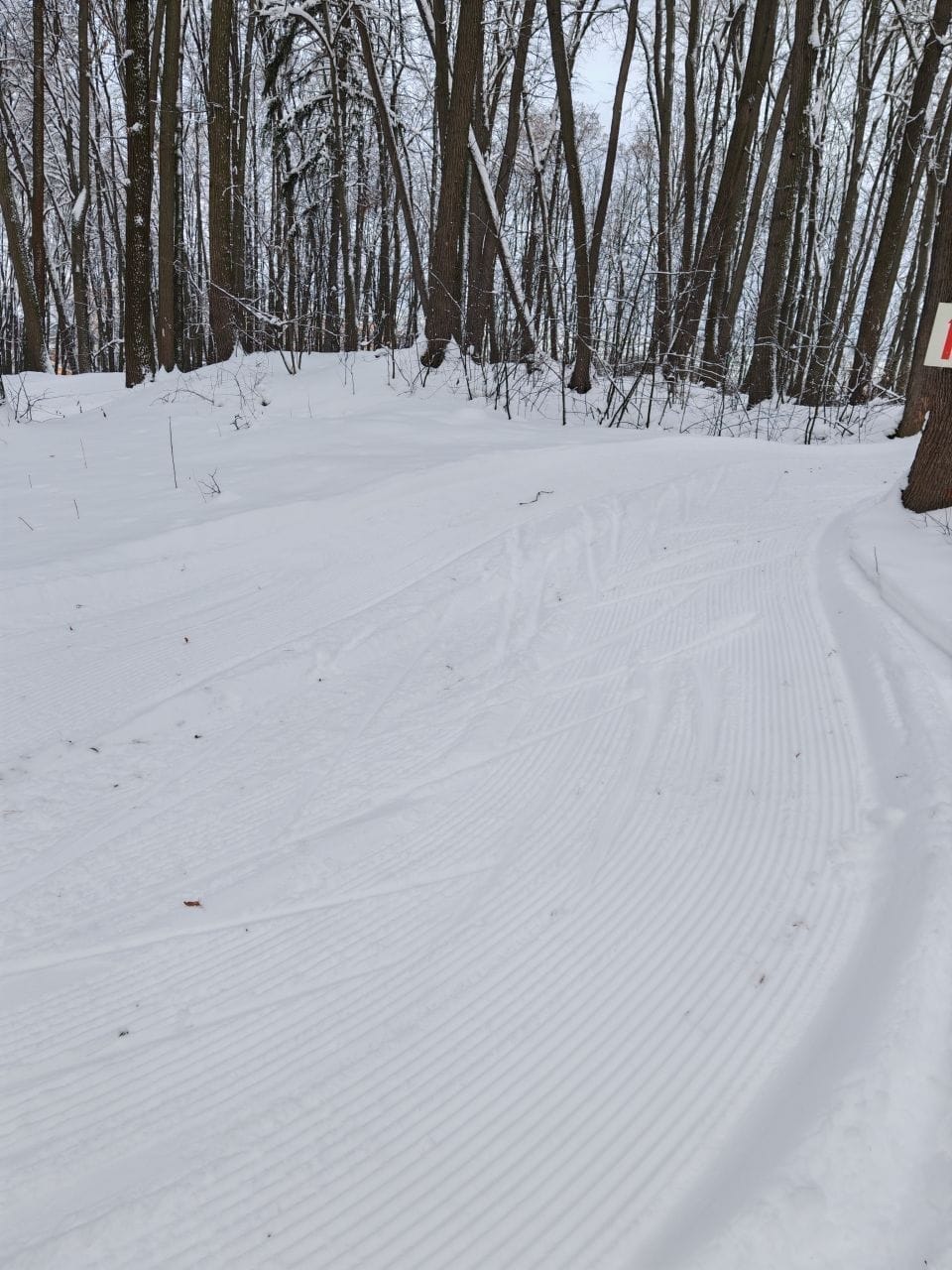 Фото трассы #18