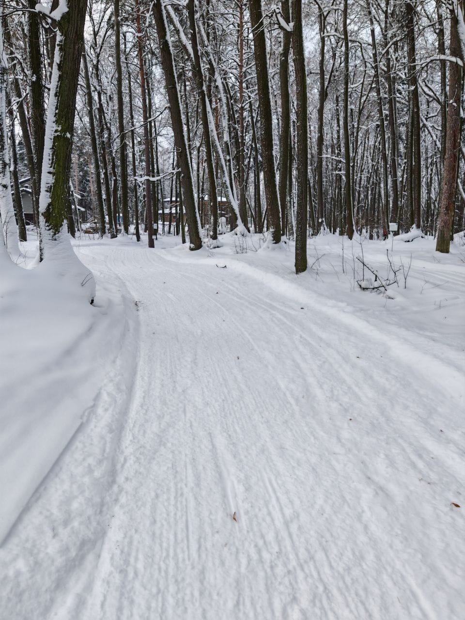 Фото трассы #19