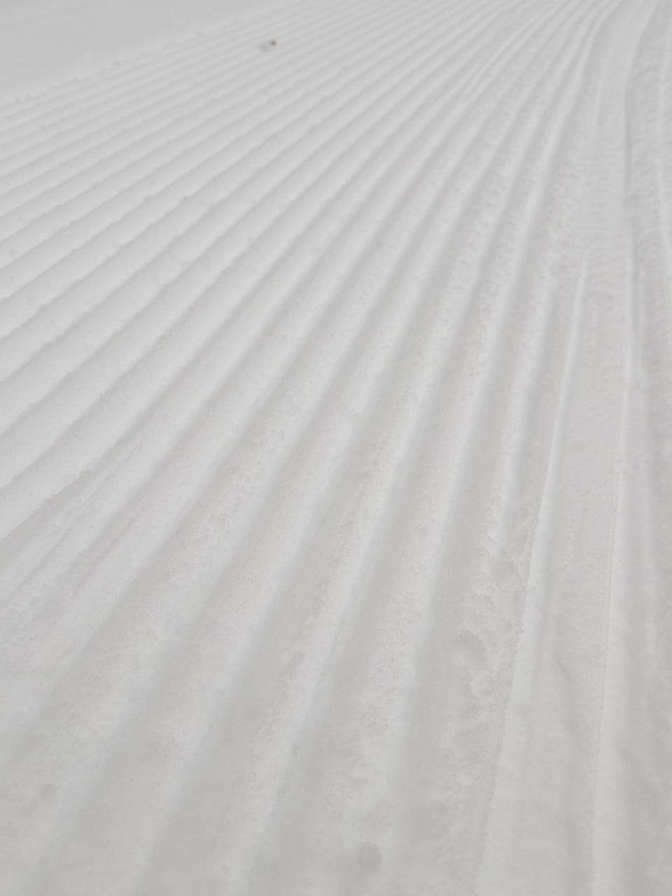 Фото трассы #5